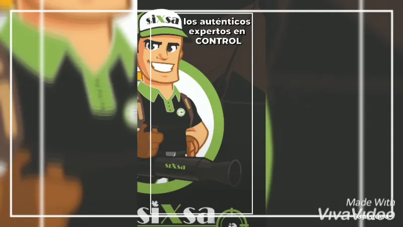 SIXSA-Sanidad Ambiental | Control de Plagas | Fumigaciones | Los auténticos expertos en termitas y carcoma.