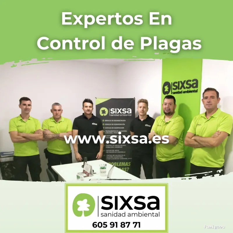 SIXSA-Sanidad Ambiental | Control de Plagas | Fumigaciones | Los auténticos expertos en termitas y carcoma.