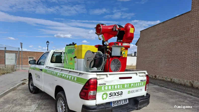 SIXSA-Sanidad Ambiental | Control de Plagas | Fumigaciones | Los auténticos expertos en termitas y carcoma.