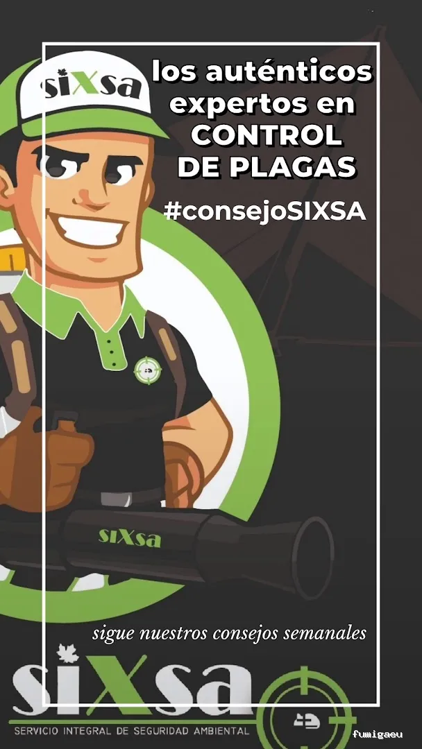 SIXSA-Sanidad Ambiental | Control de Plagas | Fumigaciones | Los auténticos expertos en termitas y carcoma.