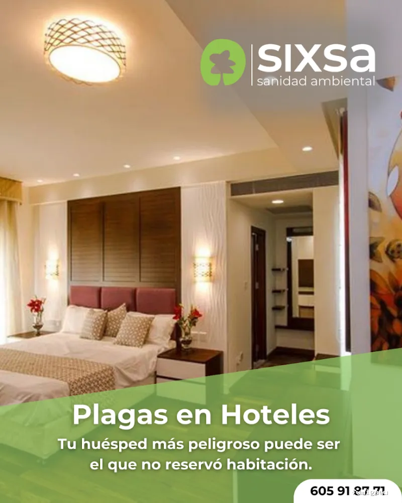 SIXSA-Sanidad Ambiental | Control de Plagas | Fumigaciones | Los auténticos expertos en termitas y carcoma.