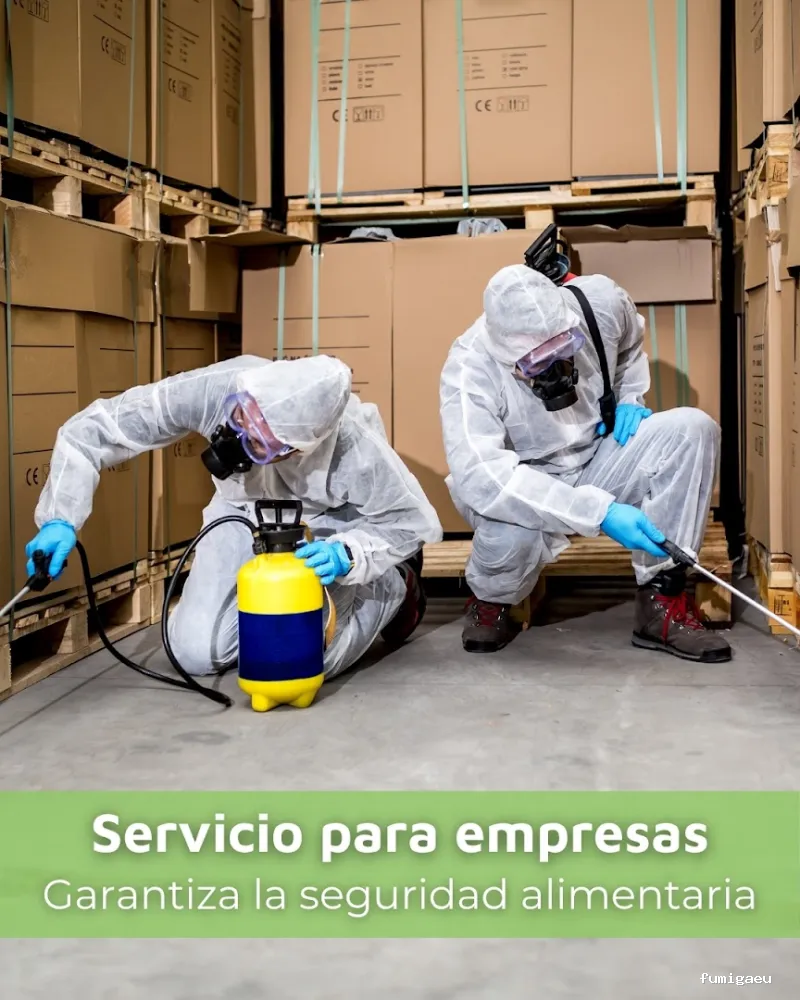 SIXSA-Sanidad Ambiental | Control de Plagas | Fumigaciones | Los auténticos expertos en termitas y carcoma.