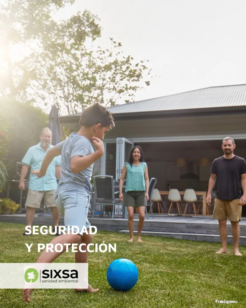 SIXSA-Sanidad Ambiental | Control de Plagas | Fumigaciones | Los auténticos expertos en termitas y carcoma.