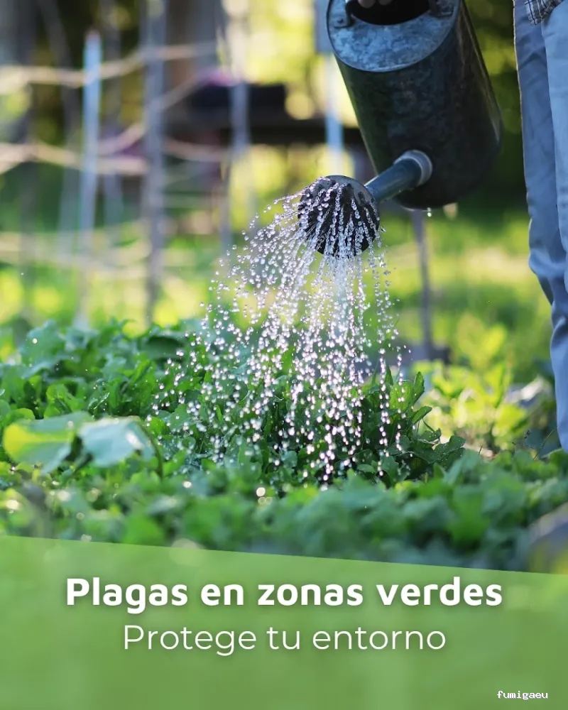 SIXSA-Sanidad Ambiental | Control de Plagas | Fumigaciones | Los auténticos expertos en termitas y carcoma.