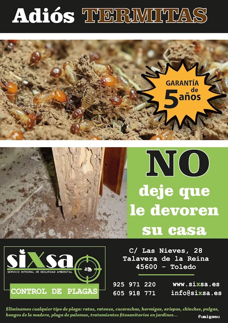 SIXSA-Sanidad Ambiental | Control de Plagas | Fumigaciones | Los auténticos expertos en termitas y carcoma.