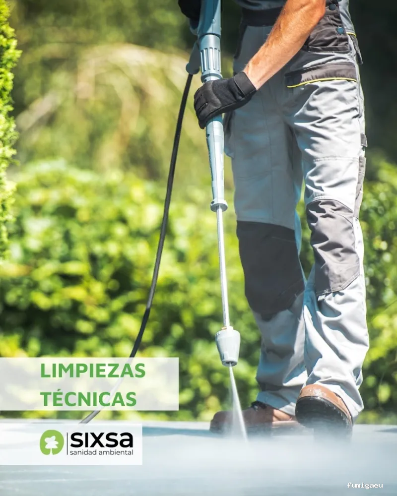 SIXSA-Sanidad Ambiental | Control de Plagas | Fumigaciones | Los auténticos expertos en termitas y carcoma.