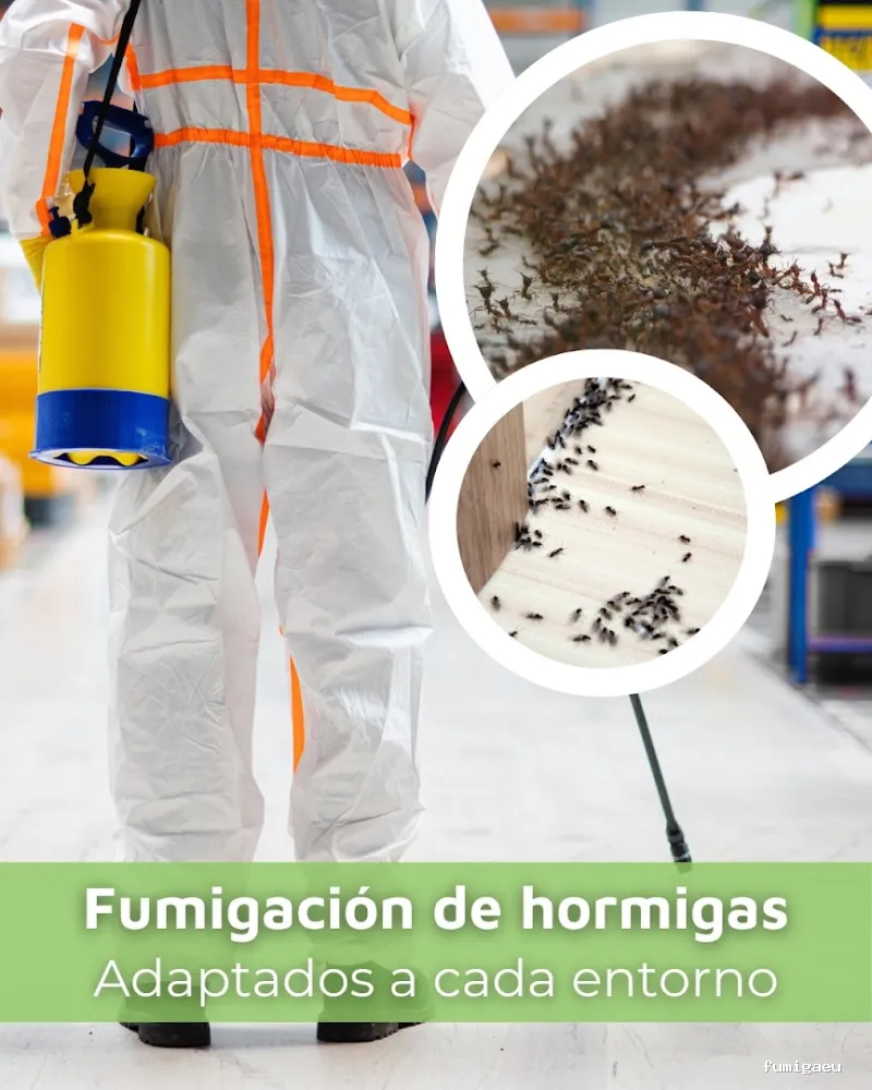SIXSA-Sanidad Ambiental | Control de Plagas | Fumigaciones | Los auténticos expertos en termitas y carcoma.