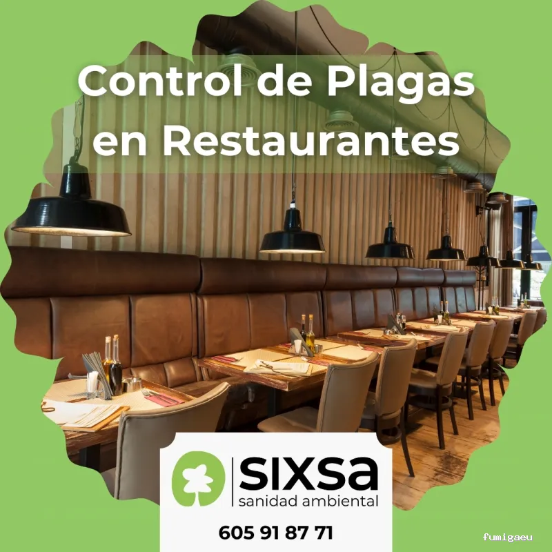 SIXSA-Sanidad Ambiental | Control de Plagas | Fumigaciones | Los auténticos expertos en termitas y carcoma.