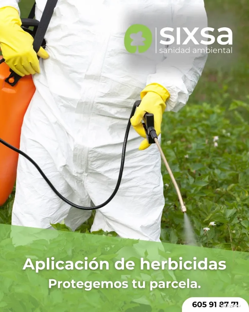 SIXSA-Sanidad Ambiental | Control de Plagas | Fumigaciones | Los auténticos expertos en termitas y carcoma.