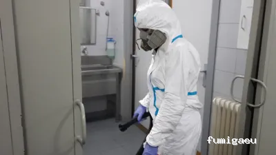 CONTROL DE PLAGAS TALAVERA. DESINFECCIÓN, DESINSECTACIÓN, DESRATIZACIÓN.