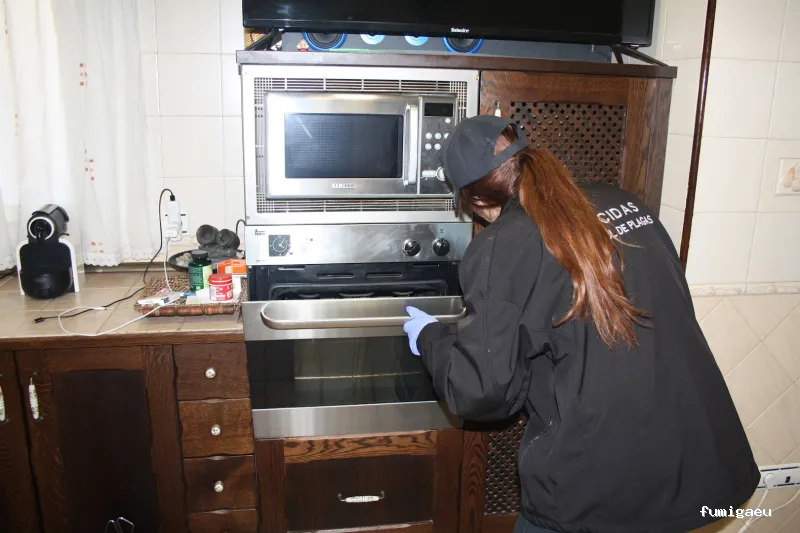 CONTROL DE PLAGAS TALAVERA. DESINFECCIÓN, DESINSECTACIÓN, DESRATIZACIÓN.