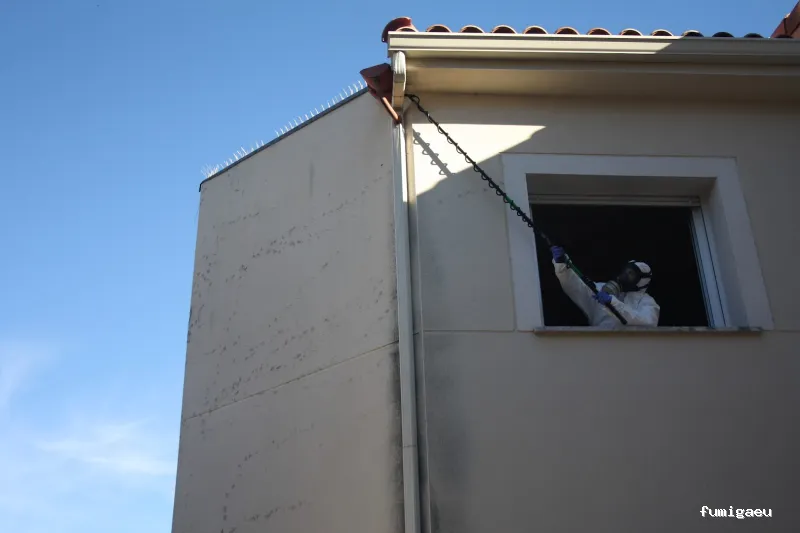 CONTROL DE PLAGAS TALAVERA. DESINFECCIÓN, DESINSECTACIÓN, DESRATIZACIÓN.