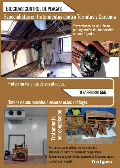 CONTROL DE PLAGAS TALAVERA. DESINFECCIÓN, DESINSECTACIÓN, DESRATIZACIÓN.