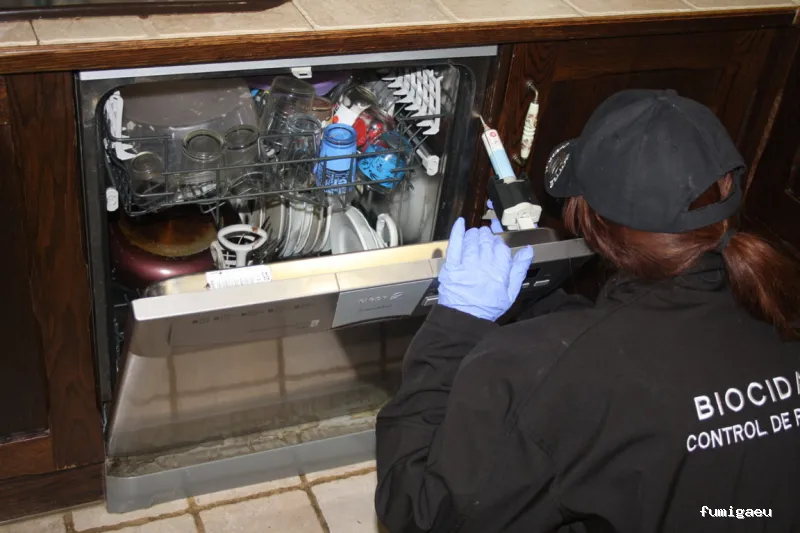 CONTROL DE PLAGAS TALAVERA. DESINFECCIÓN, DESINSECTACIÓN, DESRATIZACIÓN.