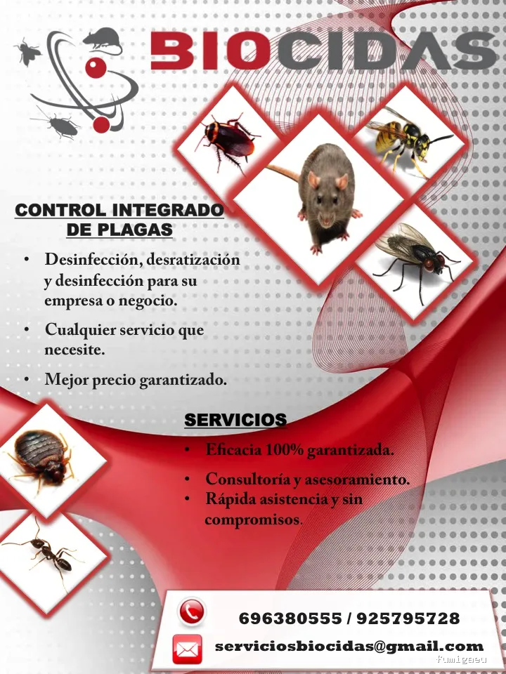 CONTROL DE PLAGAS TALAVERA. DESINFECCIÓN, DESINSECTACIÓN, DESRATIZACIÓN.