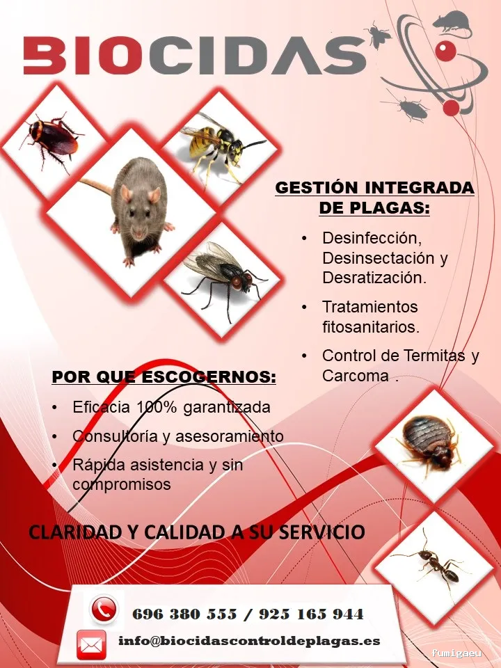 CONTROL DE PLAGAS TALAVERA. DESINFECCIÓN, DESINSECTACIÓN, DESRATIZACIÓN.