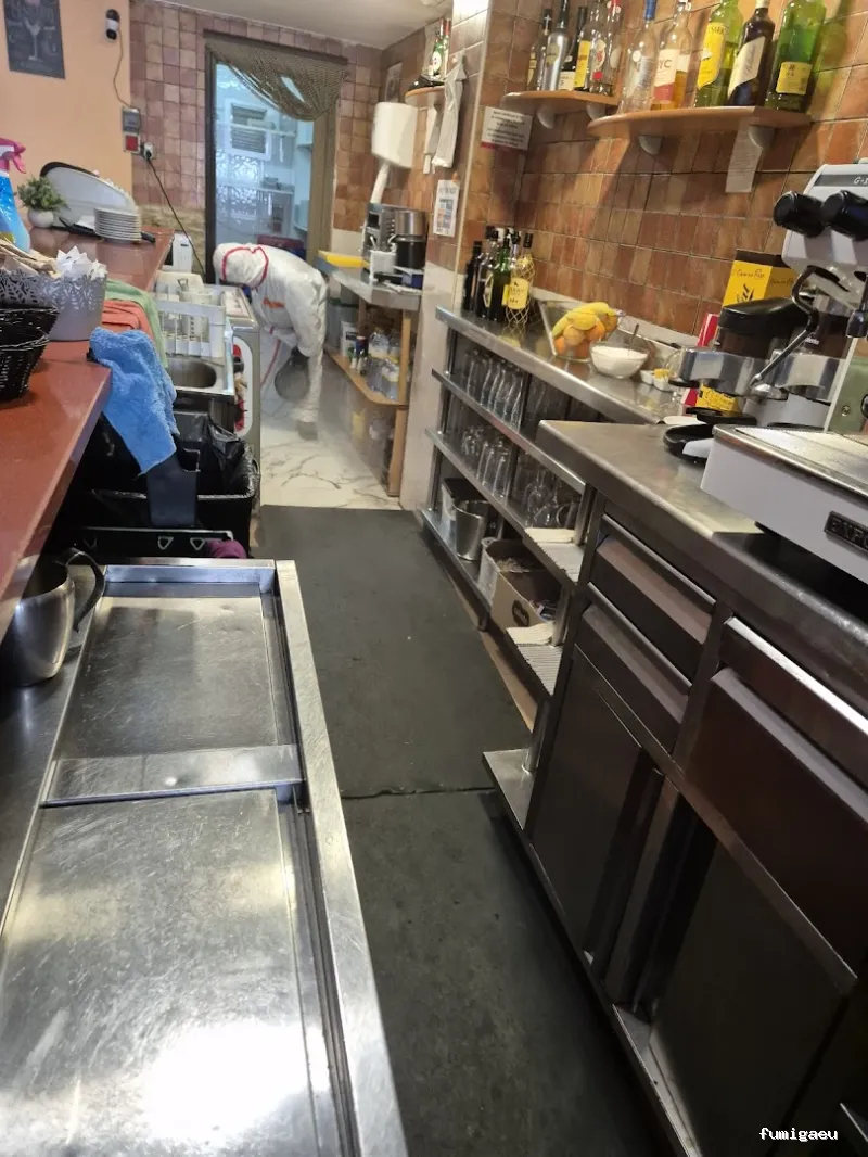 Desratizaciones Europa