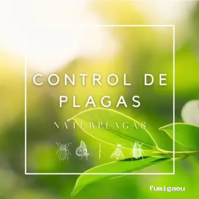 Naturtentudía Servicios SL