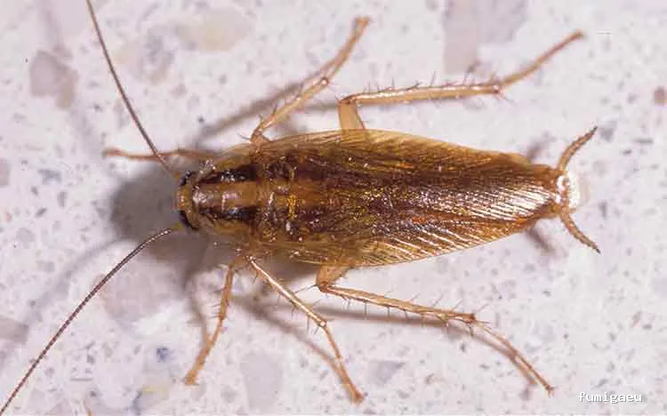 Naturtentudía Servicios SL