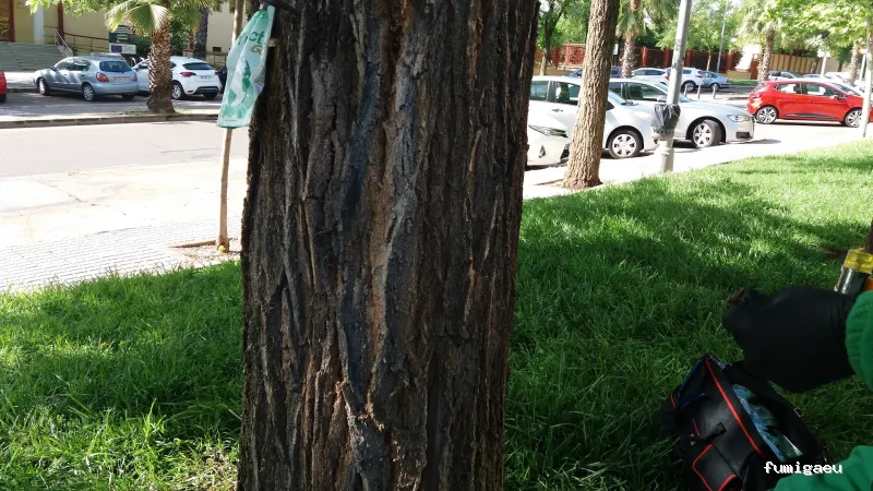 Naturtentudía Servicios SL