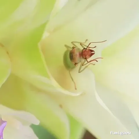 Naturtentudía Servicios SL