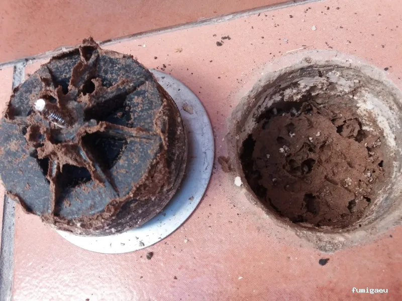 Naturtentudía Servicios SL