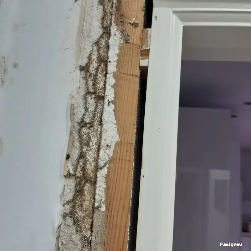 Naturtentudía Servicios SL