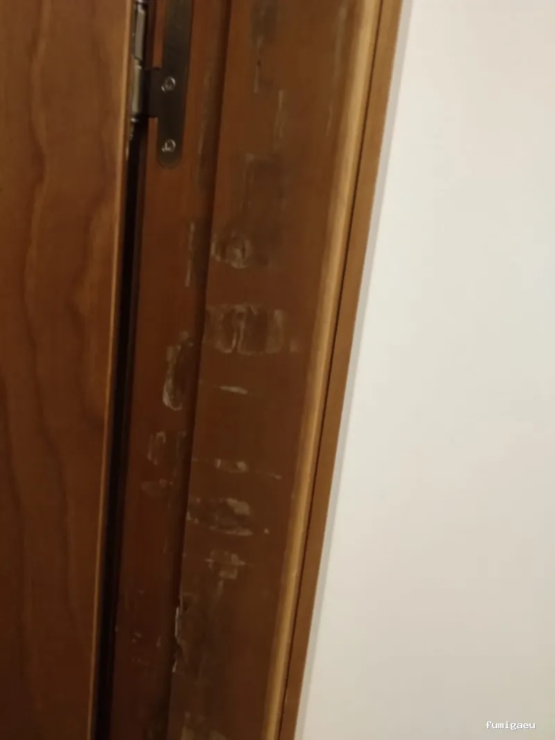 Naturtentudía Servicios SL