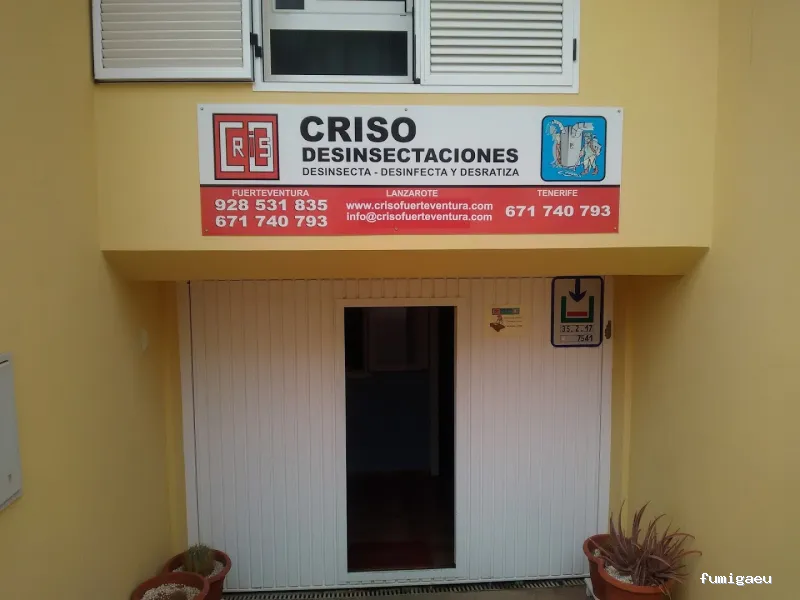 CRISO DESINSECTACIONES FUERTEVENTURA, S.L.U