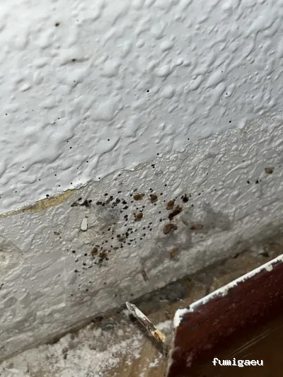 Biocheck Sanidad Ambiental