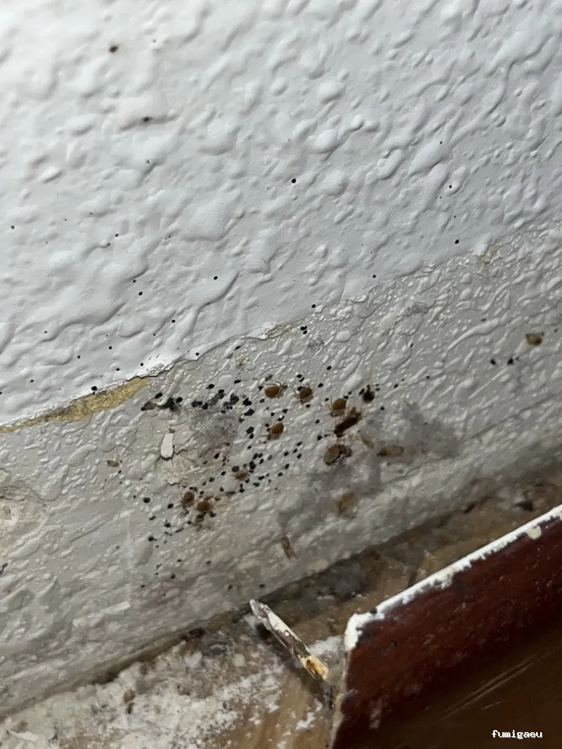 Biocheck Sanidad Ambiental