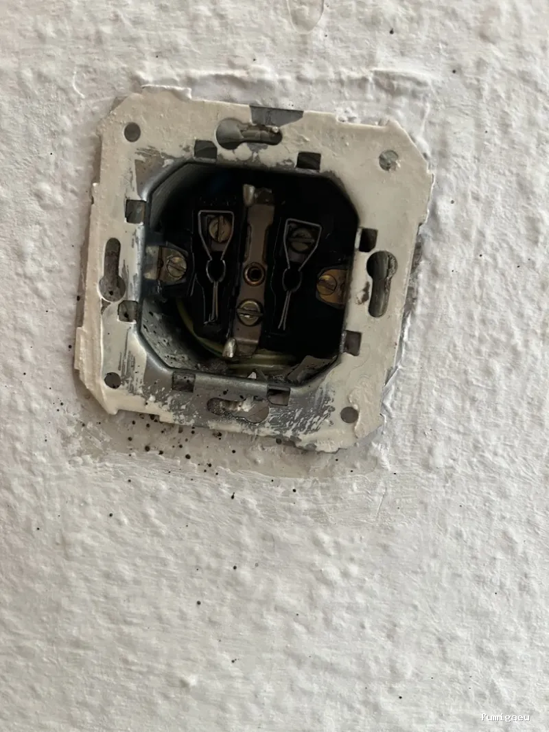 Biocheck Sanidad Ambiental