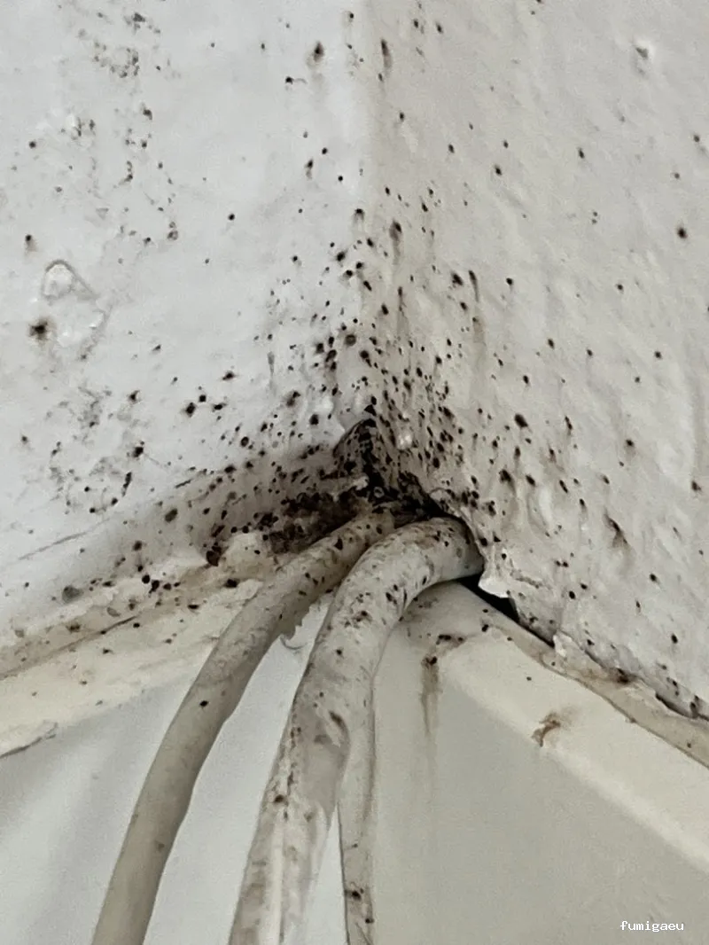 Biocheck Sanidad Ambiental