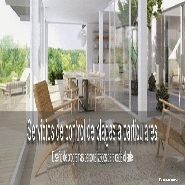 3D Control de plagas Vilamarxant