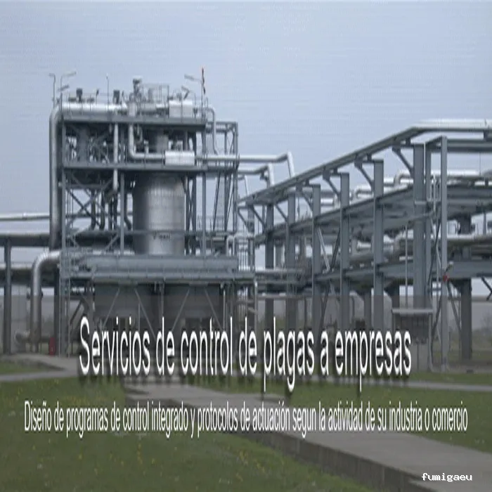 3D Control de plagas Vilamarxant