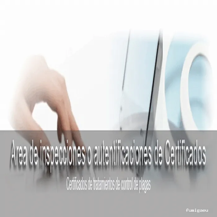 3D Control de plagas Vilamarxant