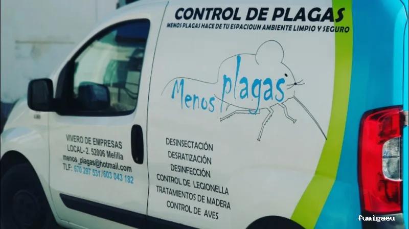 MENOS PLAGAS-MELILLA- Fumigaciones, Limpiezas de aljibes, control de plagas, control de la legionella, certificado DDD.
