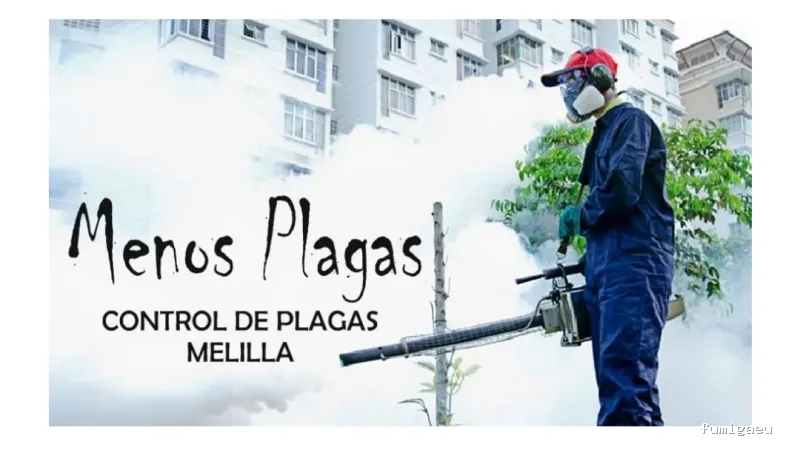 MENOS PLAGAS-MELILLA- Fumigaciones, Limpiezas de aljibes, control de plagas, control de la legionella, certificado DDD.
