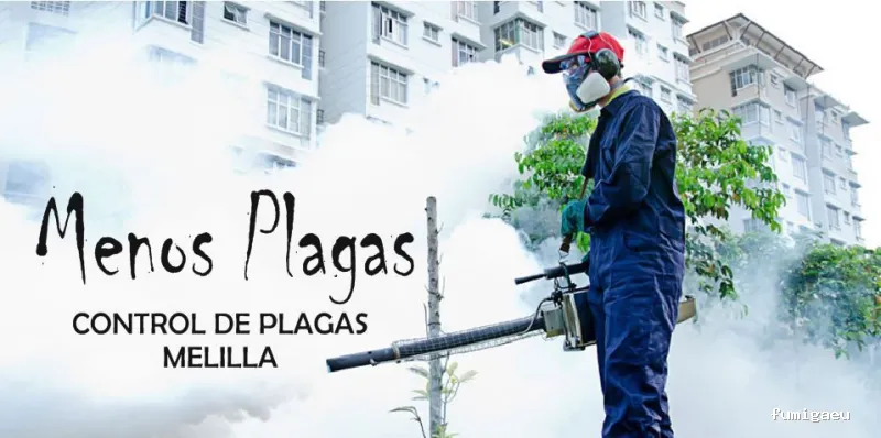 MENOS PLAGAS-MELILLA- Fumigaciones, Limpiezas de aljibes, control de plagas, control de la legionella, certificado DDD.