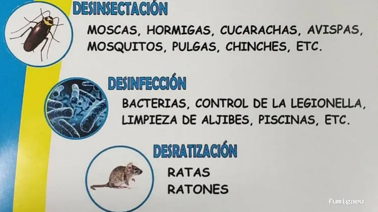 MENOS PLAGAS-MELILLA- Fumigaciones, Limpiezas de aljibes, control de plagas, control de la legionella, certificado DDD.