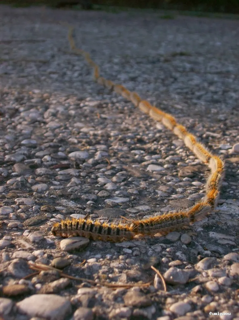 Acción y Control Ambiental, S.L.