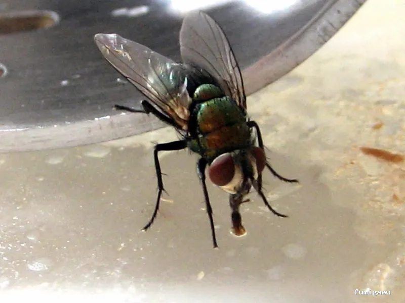 Acción y Control Ambiental, S.L.