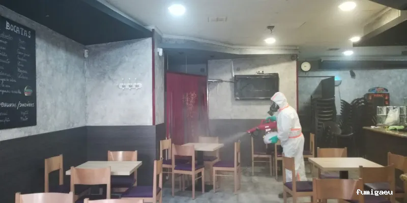 Plagastudio Control de Plagas en Alicante