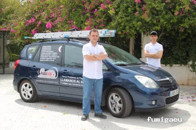 Plagastudio Control de Plagas en Alicante