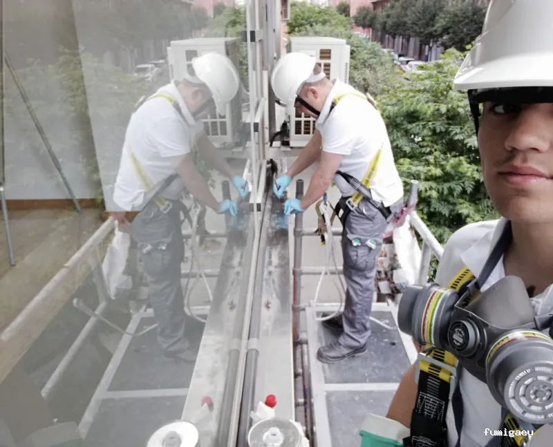 Plagastudio Control de Plagas en Alicante