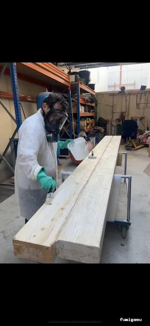 Plagastudio Control de Plagas en Alicante