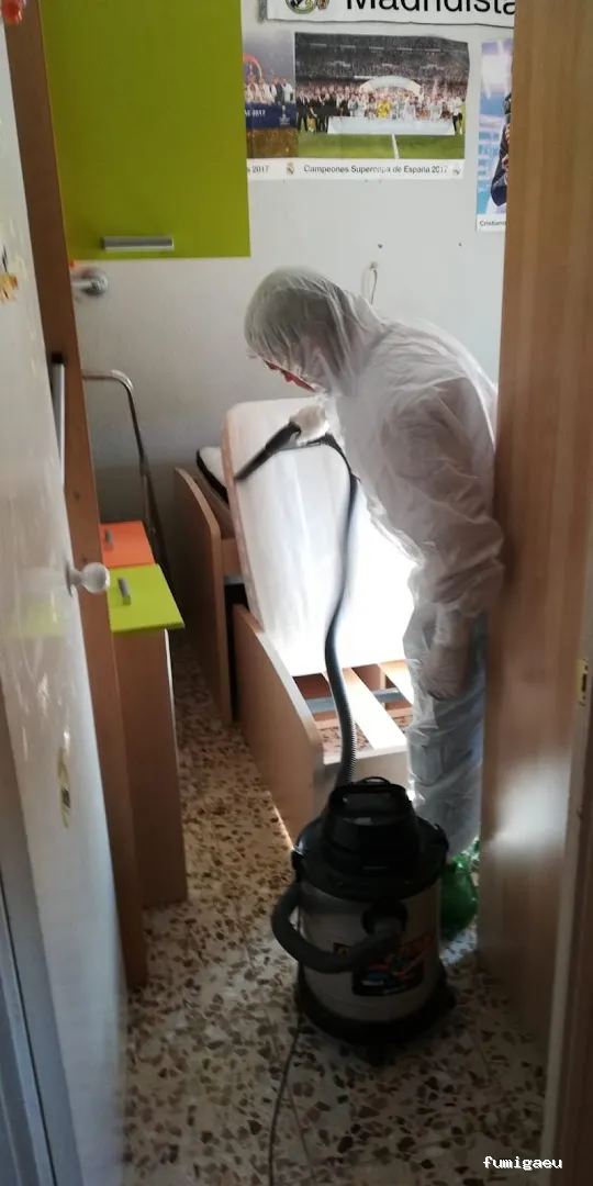 Plagastudio Control de Plagas en Alicante