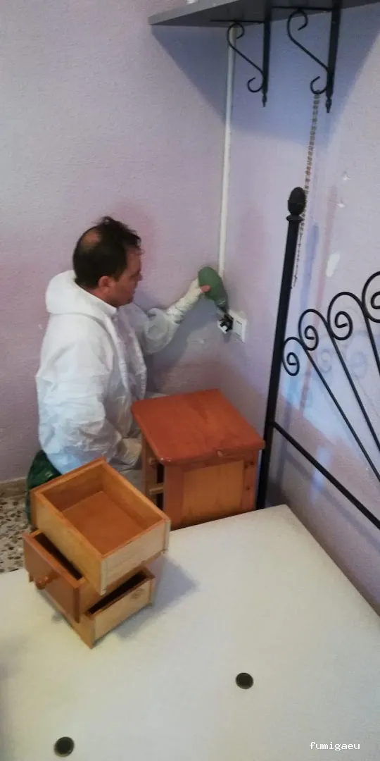 Plagastudio Control de Plagas en Alicante