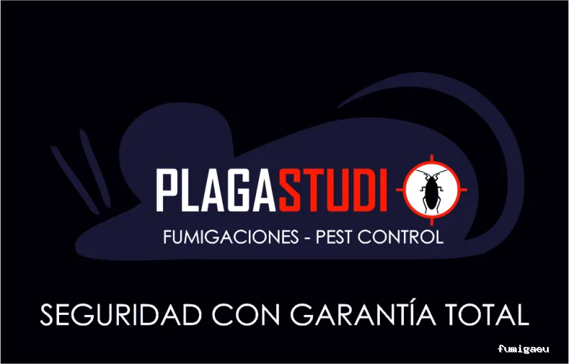 Plagastudio Control de Plagas en Alicante