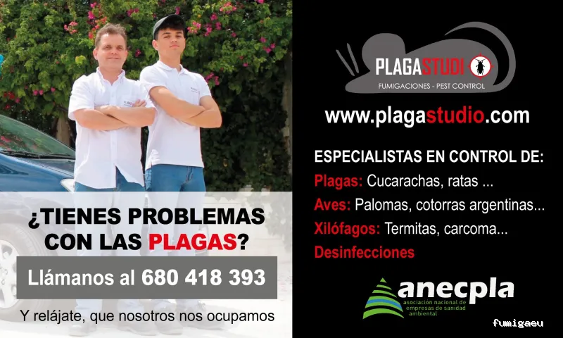 Plagastudio Control de Plagas en Alicante